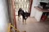dsc01101_small.jpg