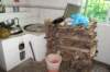 dsc01164_small.jpg