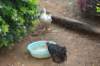 dsc01168_small.jpg