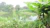 image00127_small.jpg