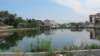 image00137_small.jpg
