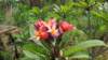 image00235_small.jpg