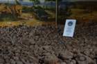 dsc00081_small.jpg