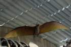 dsc00084_small.jpg