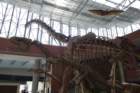 dsc00090_small.jpg