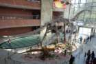 dsc00109_small.jpg