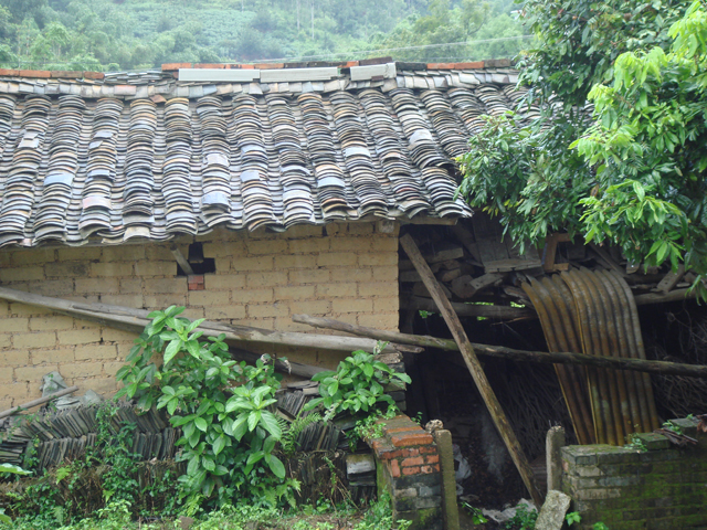 DSC01481